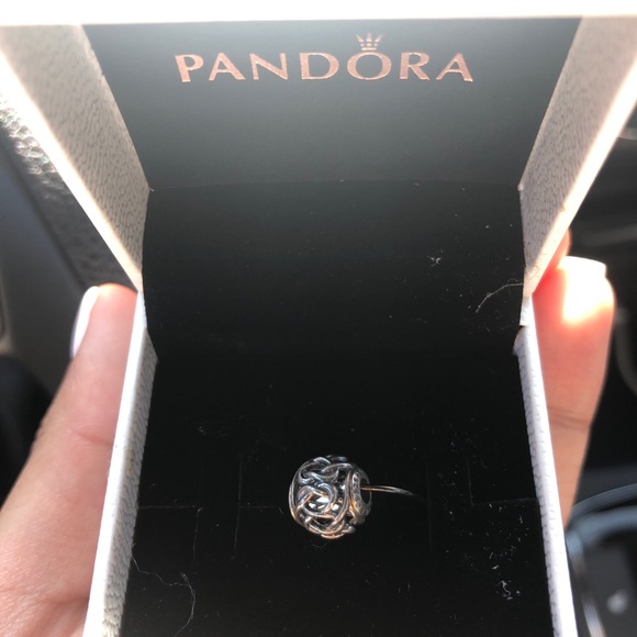 Pandora Jewelry - brand new pandora charm Pandora Jewelry - brand new pandora charm